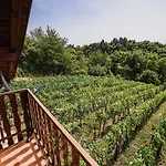 Holiday home Harvest Horizon With Sauna - One Bedroom Brezice