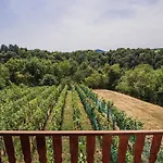 Holiday home Harvest Horizon With Sauna - One Bedroom *