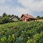 Harvest Horizon With Sauna - One Bedroom *