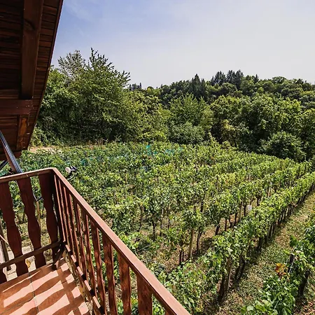Prázdninový dům Harvest Horizon With Sauna - One Bedroom Brežice