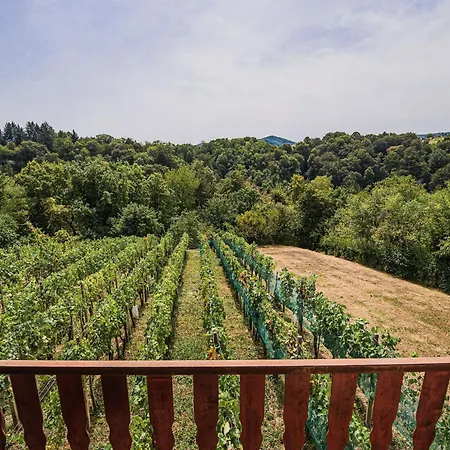 Prázdninový dům Harvest Horizon With Sauna - One Bedroom *