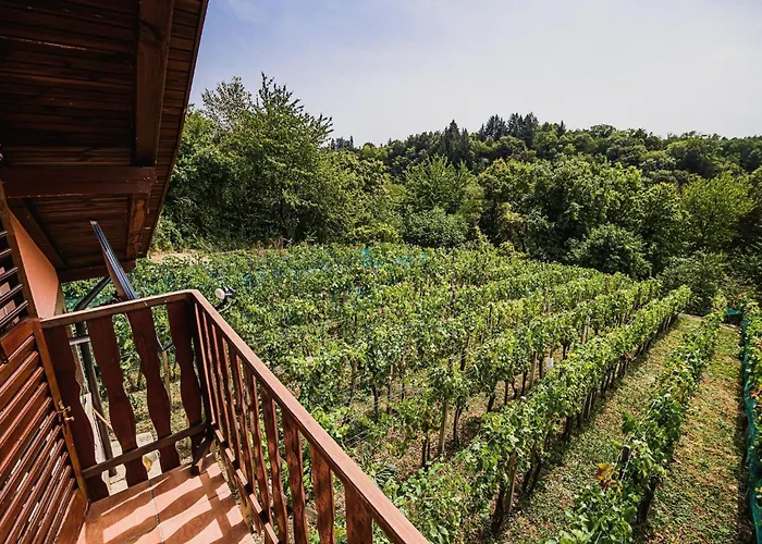 Počitniška hiša Harvest Horizon With Sauna - One Bedroom Brezice
