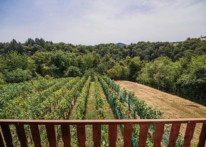 Vakantiehuis Harvest Horizon With Sauna - One Bedroom *