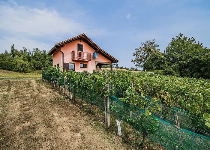 Harvest Horizon With Sauna - One Bedroom Vakantiehuis