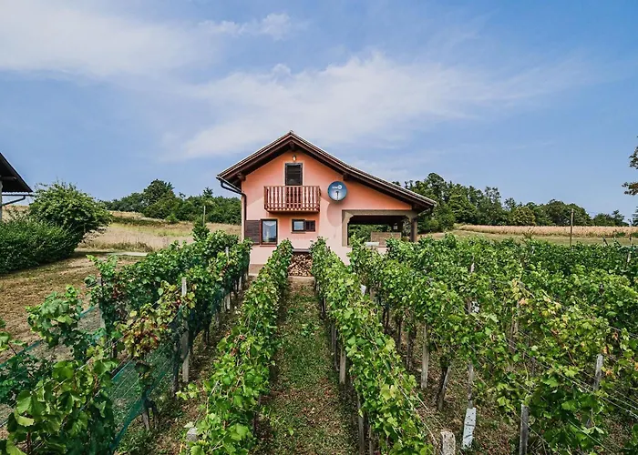 Harvest Horizon With Sauna - One Bedroom Počitniška hiša *
